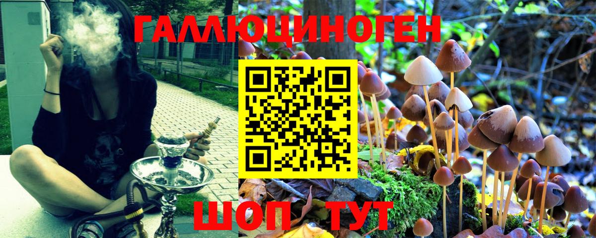 Гашиш Красноярск