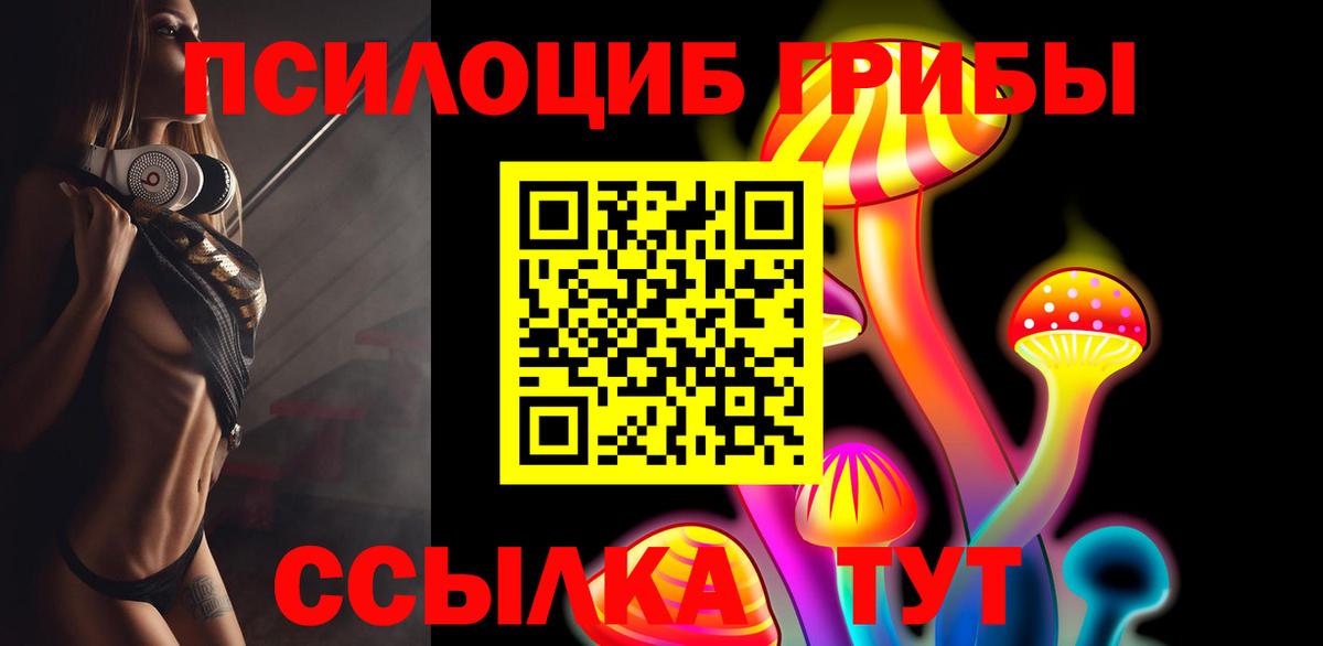Галлюциногенные грибы мицелий  Вход с VPN  Красноярск  Галлюциногенные грибы Psilocybine cubensis 